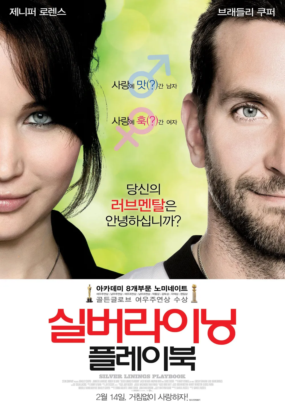 실버라이닝 플레이북 포스터