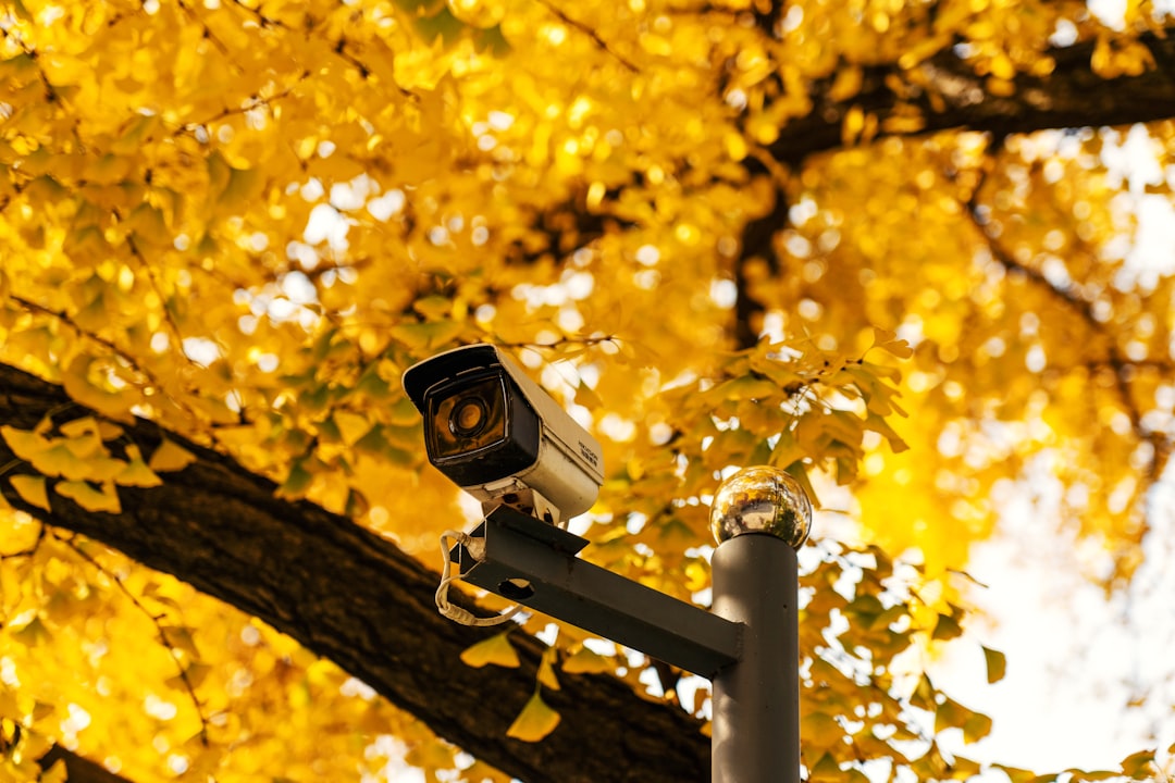 CCTV