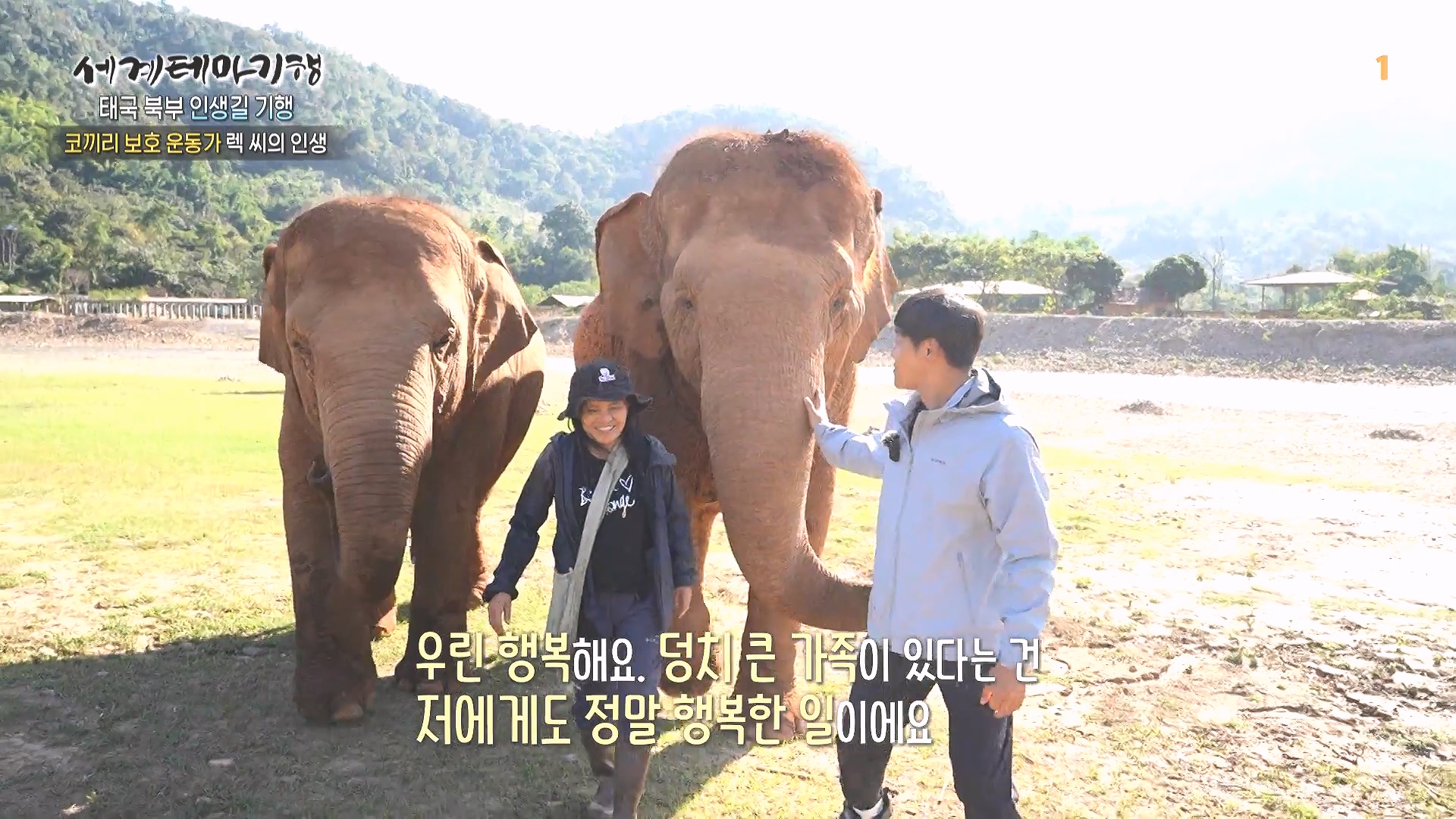 세계테마기행 240220 태국 북부 인생길 기행 -내 인생의 화양연화, 치앙마이0p.mp4_20240803_164152.695.jpg
