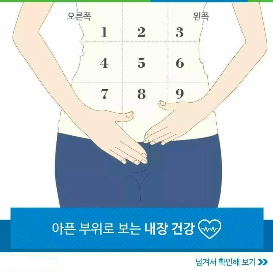  아픈 부위로 보는 내장 건강