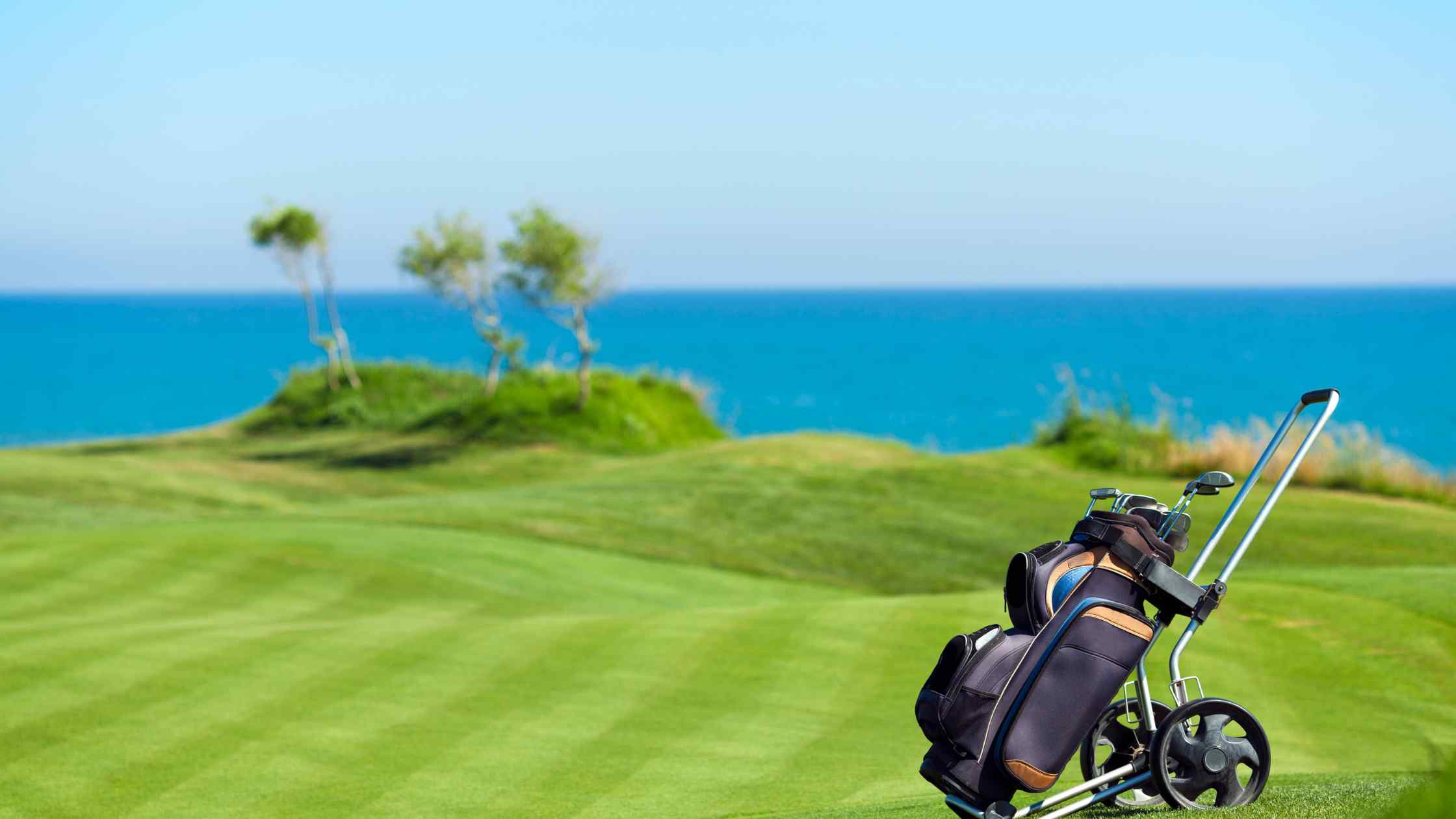 golf field