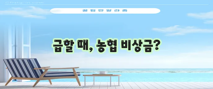 농협 비상금대출 긴급 시 대출 받는 법 꼭 알아두세요!