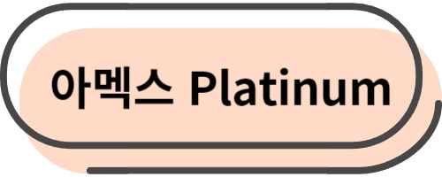 아멕스 platinum