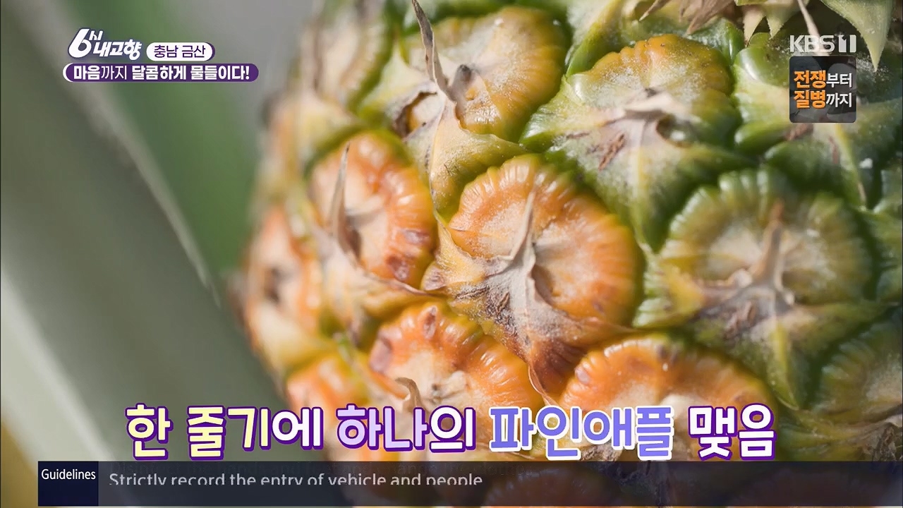 6시 내고향.E7922.231129p.H264-F1RST.mp4_20231129_200333.604.jpg