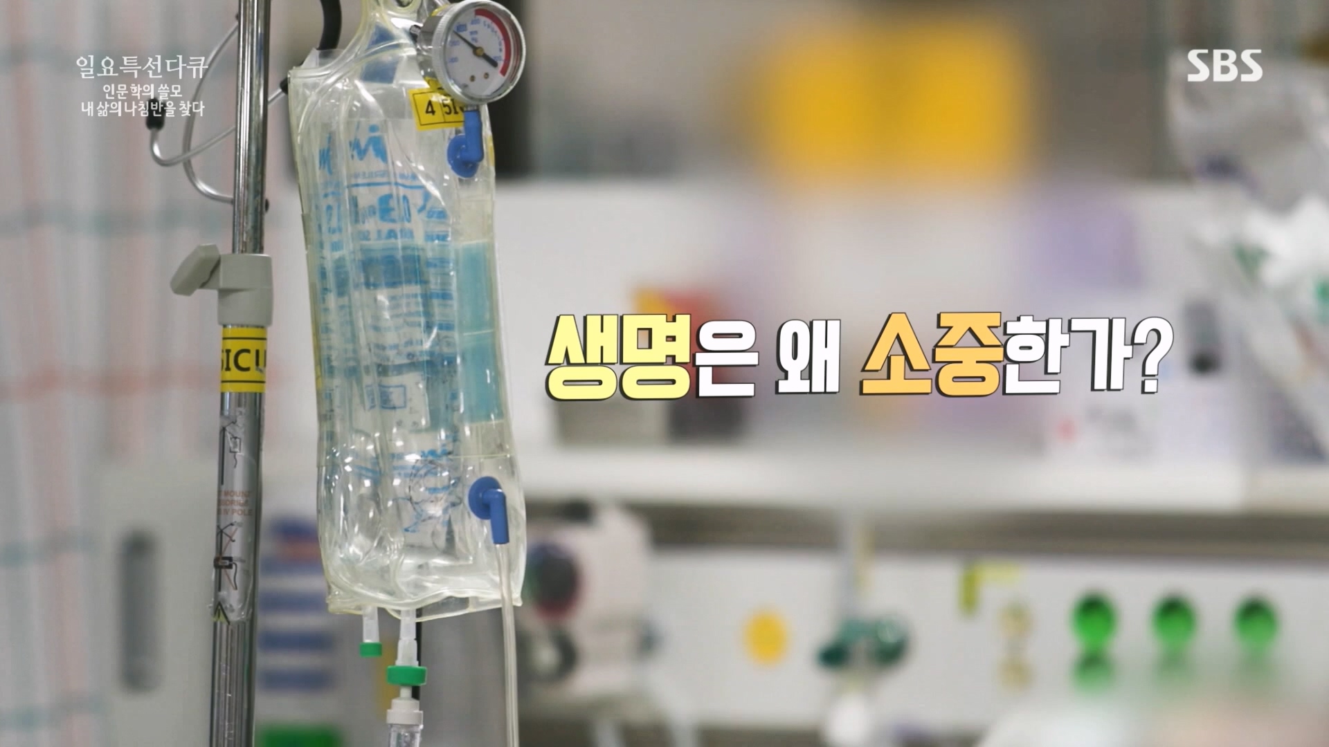 일요 특선 다큐멘터리.E340.240225p.H264-F1RST.mp4_20240225_151546.406.jpg