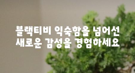 블랙티비 익숙함을 넘어선 새로운 감성을 경험하세요