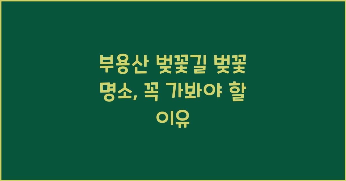 부용산 벚꽃길 벚꽃 명소