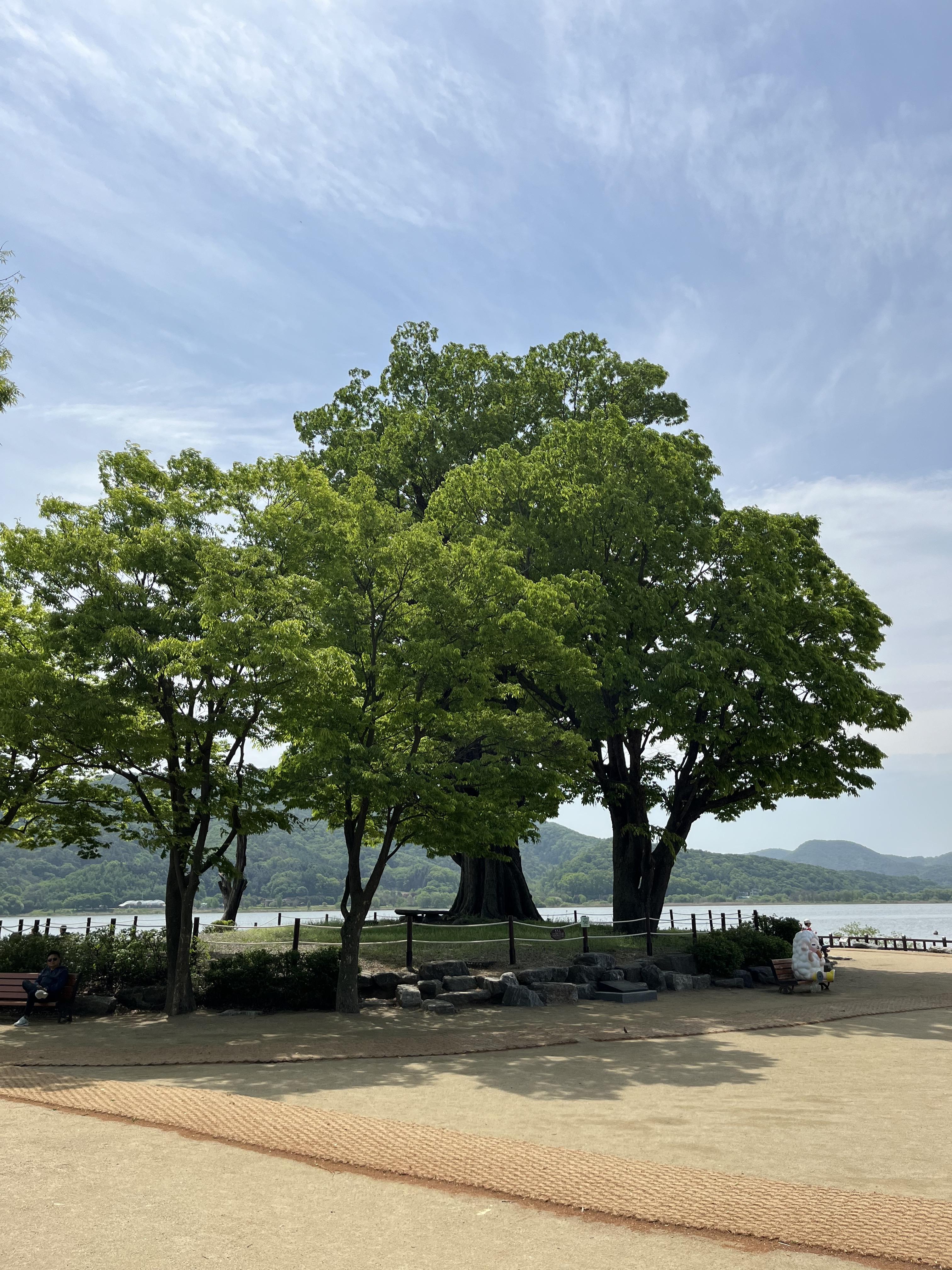 양평-서울근교드라이브-두물머리