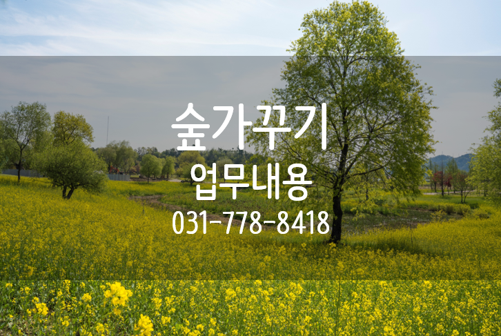 숲가꾸기