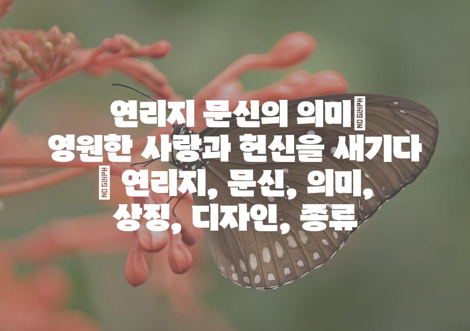 샘플 (51)