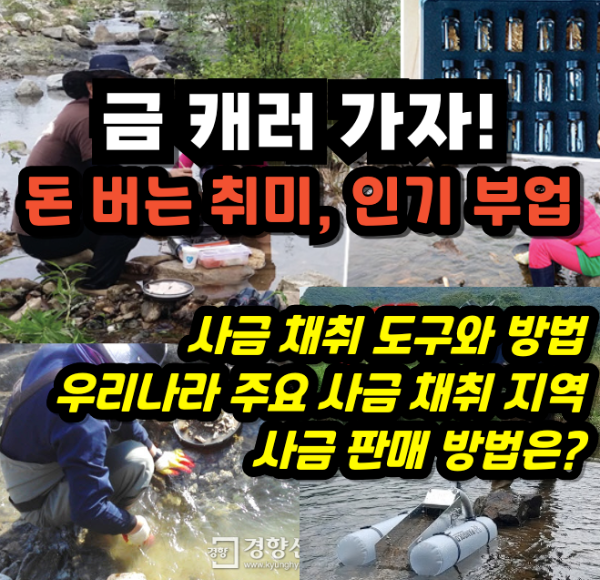 사금 채취의 모든 것
