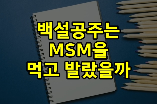  백설공주는 MSM을 먹고 발랐을까