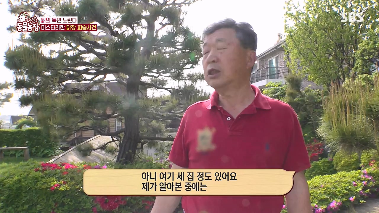 TV 동물농장.E1176.240617p-NEXT.mp4_20240616_171025.073.jpg