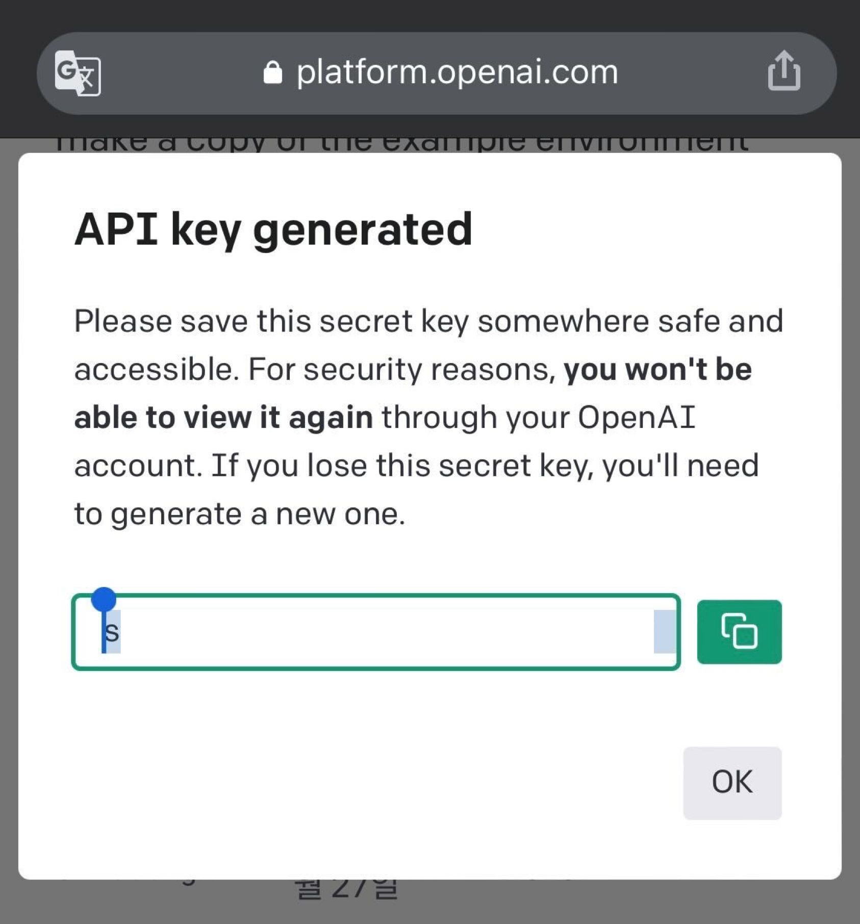 API Key 복사해 두기