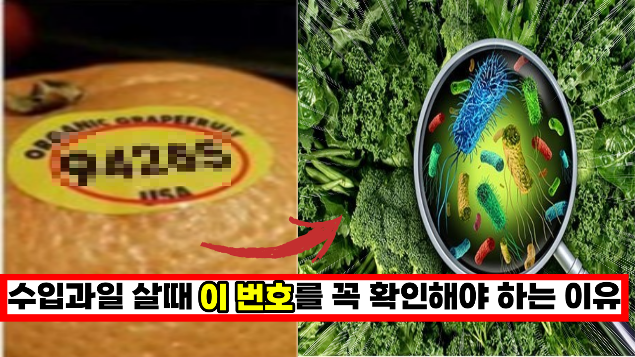  수입 과일 살때 '이것' 꼭 확인하세요 잘못하면 농약을 먹게 됩니다.