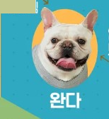 도그데이즈 영화 출연진 등장인물 인물관계도 기본정보 평점