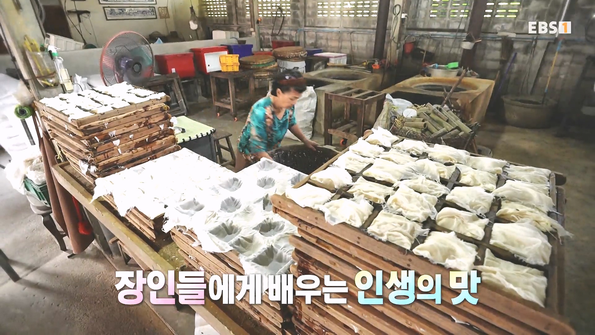 세계테마기행 240222 태국 북부 인생길 기행 -대찬 인생, 소박한 행복0p.mp4_20240807_194833.392.jpg