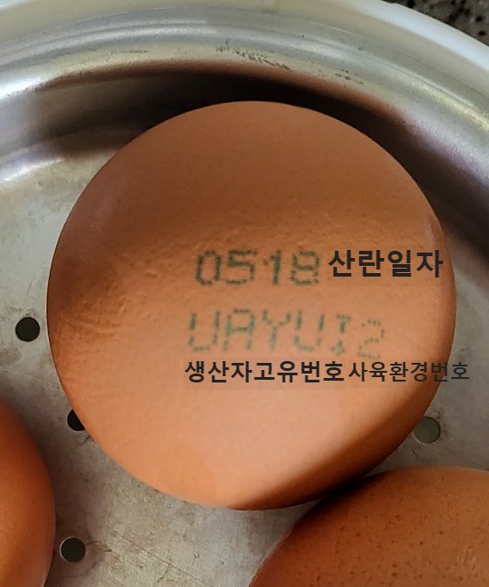 계란_큐브_만들기_달걀_큐브_아기_계란_알레르기