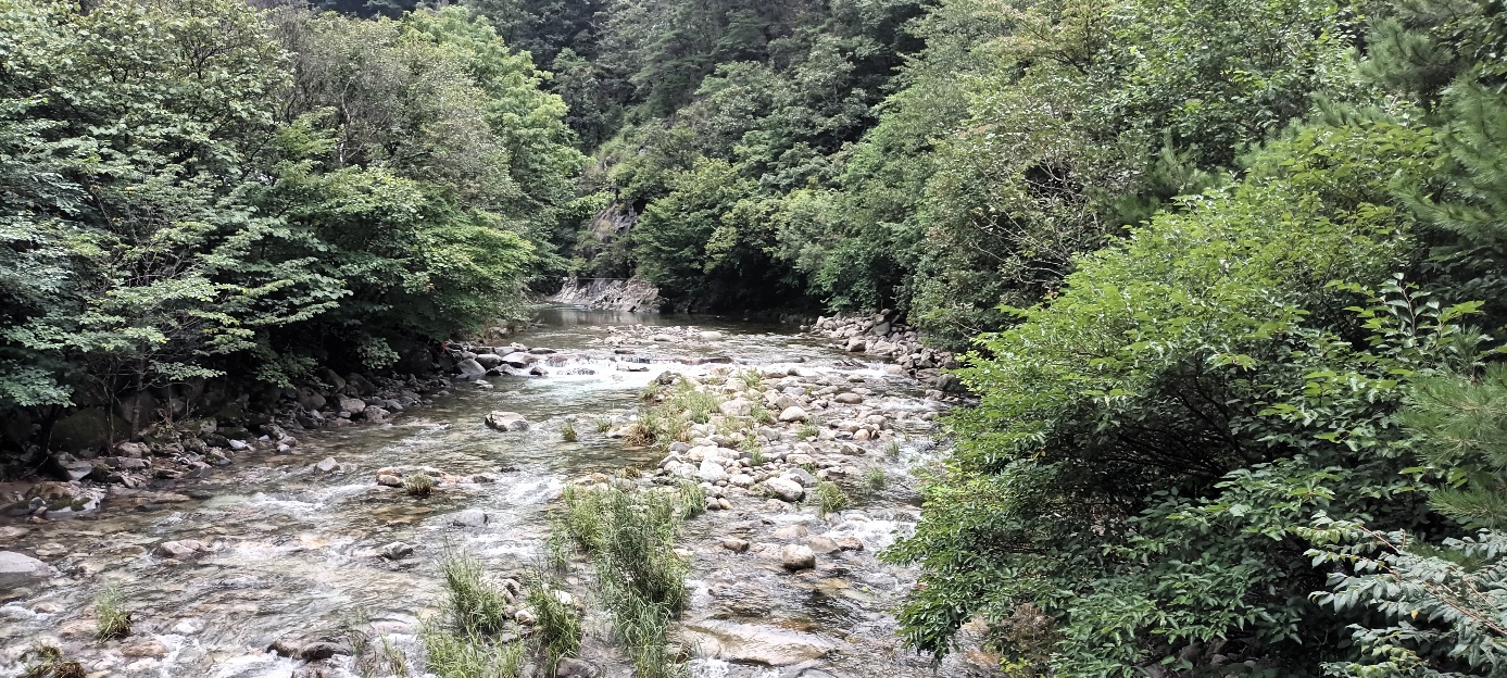 소백산국립공원 남천야영장 특화야영장 이미지