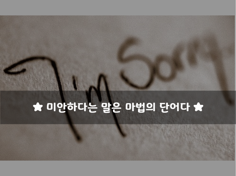   미안하다는 말은 마법의 단어다 