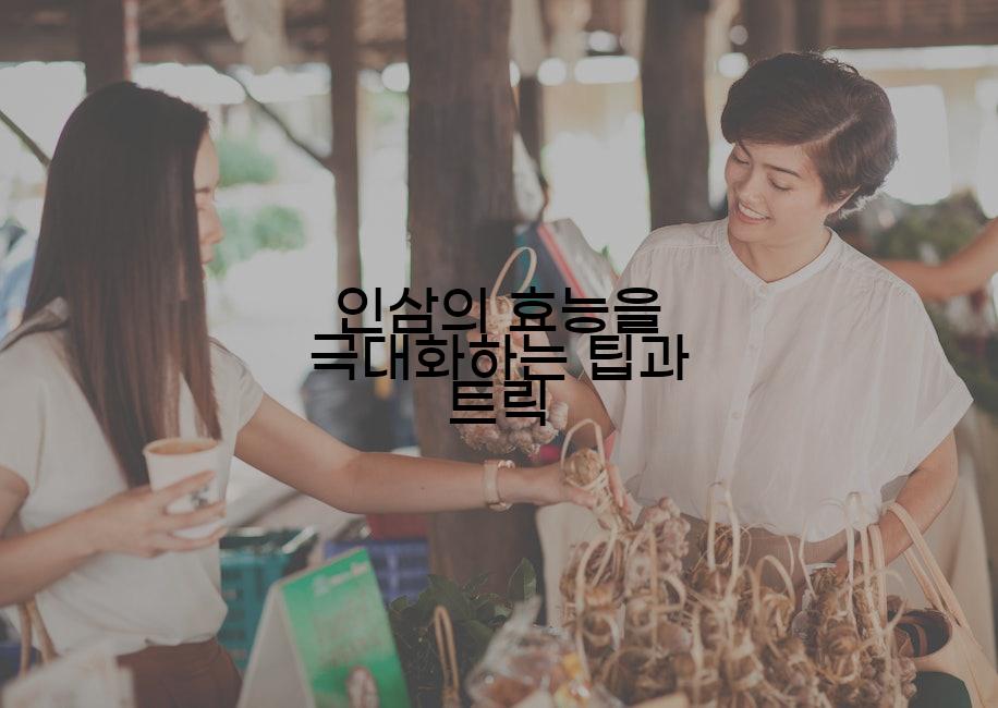 인삼의 효능을 극대화하는 팁과 트릭