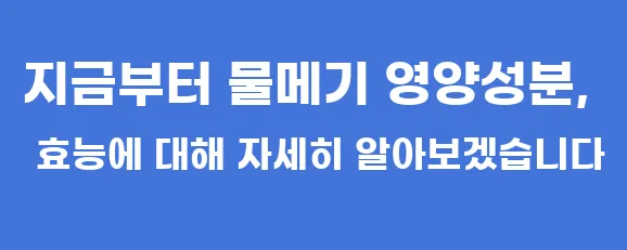 지금부터 물메기 영양성분, 효능에 대해 자세히 알아보겠습니다