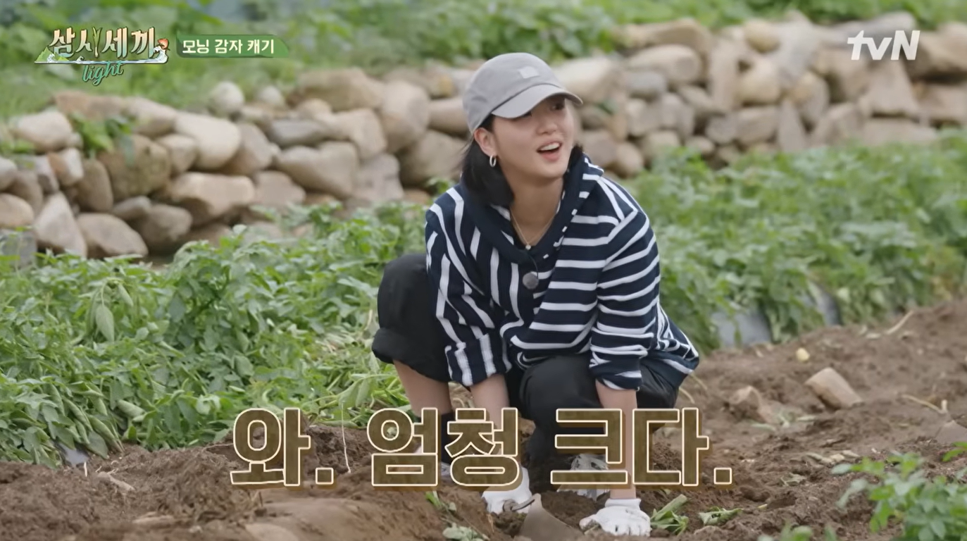 삼시세끼 라이트 4화 이미지