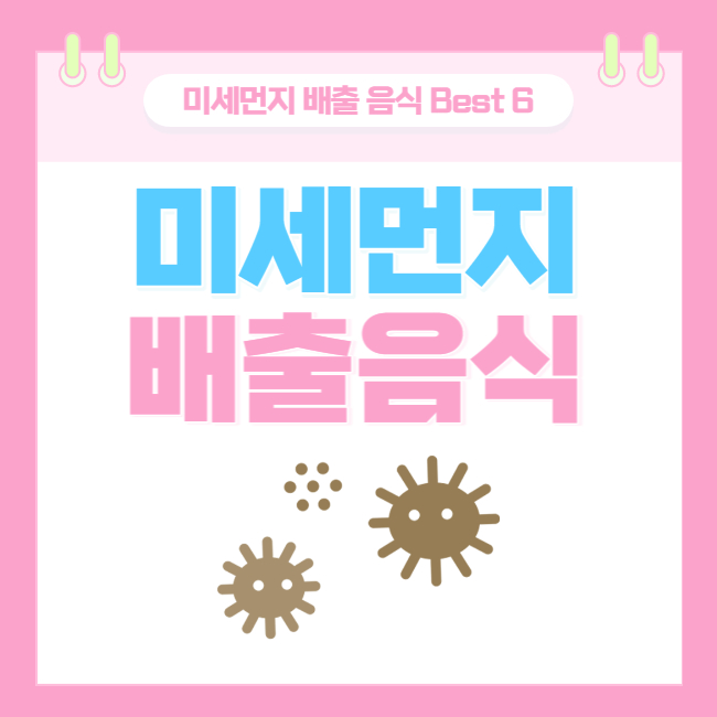  미세먼지 배출에 좋은 음식 Best 6