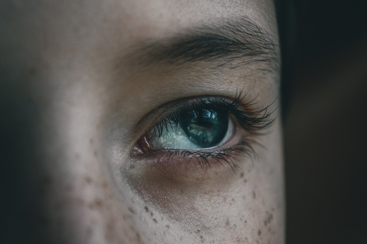 눈(eye) 사진