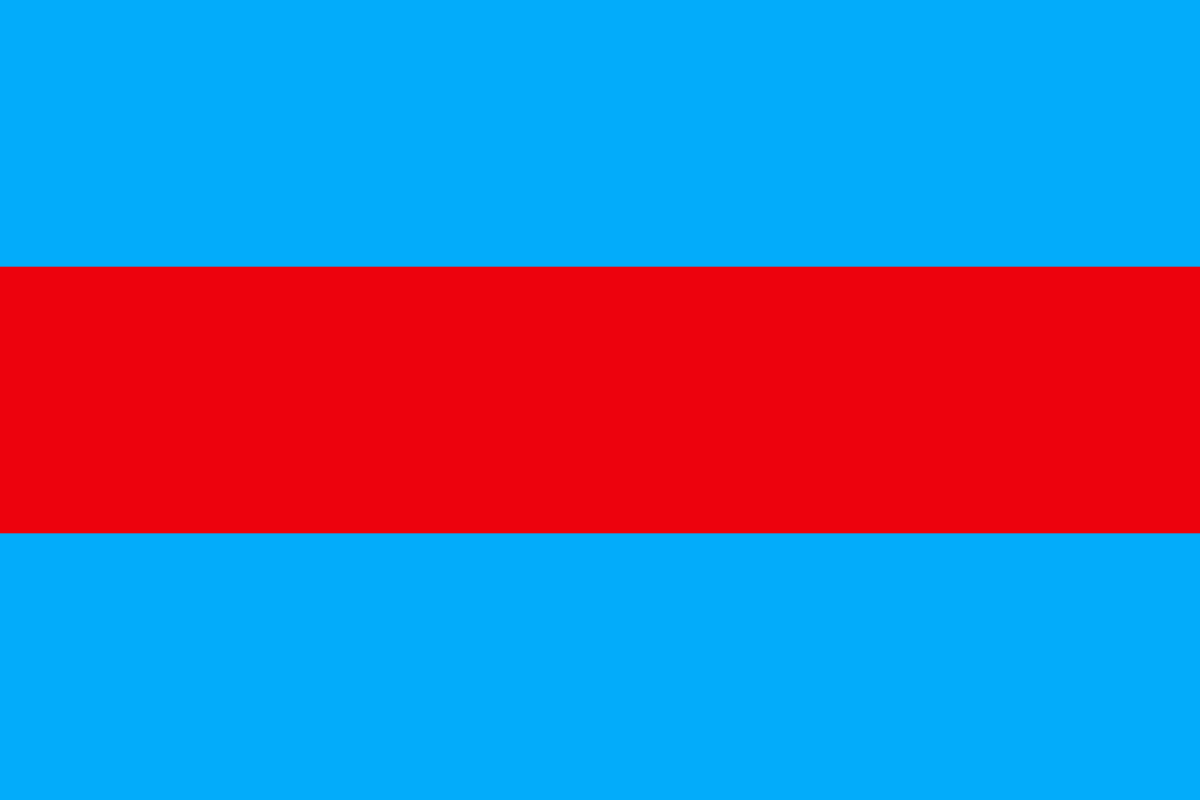 중앙카스피 독재국 국기