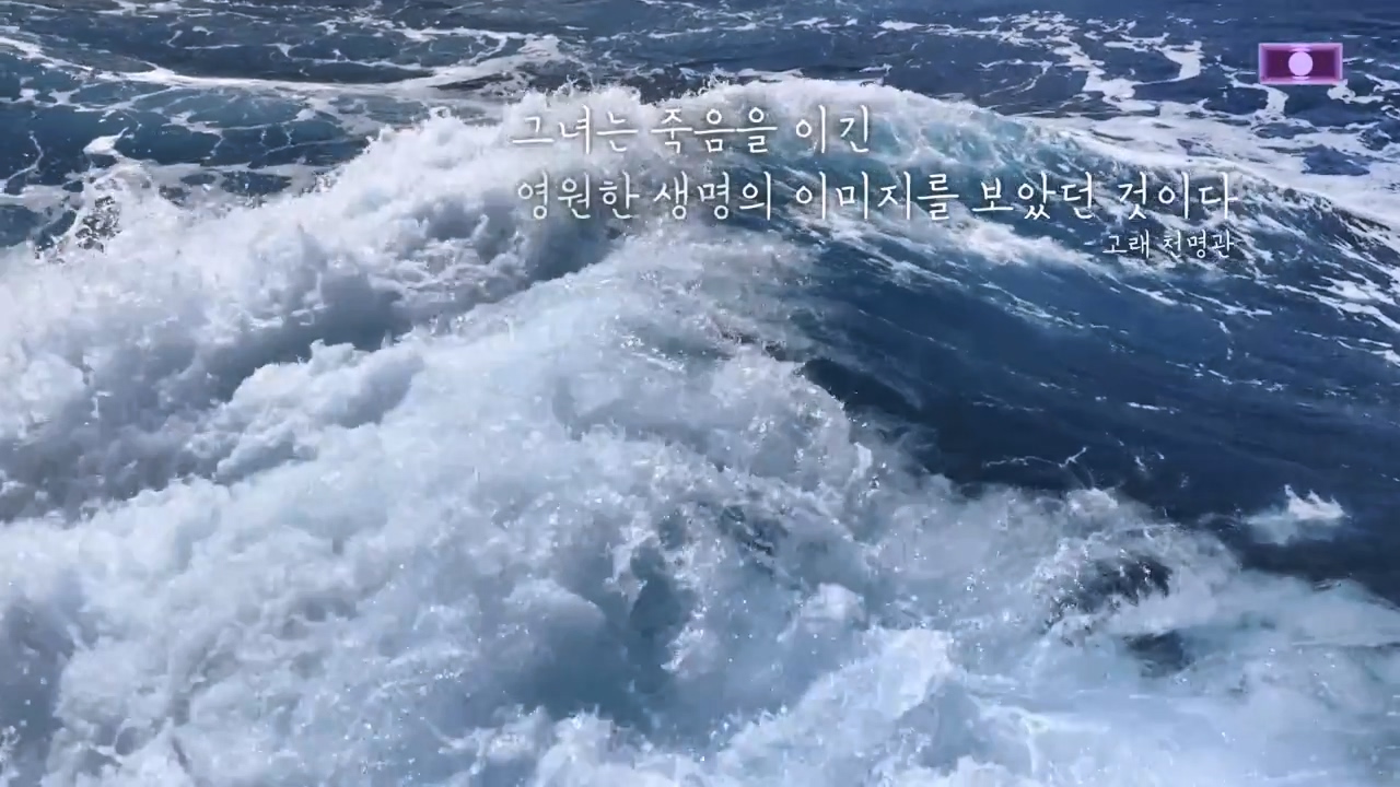 창사특집 다큐멘터리 고래와 나.E02.231126p-NEXT.mp4_20231126_160850.475.jpg
