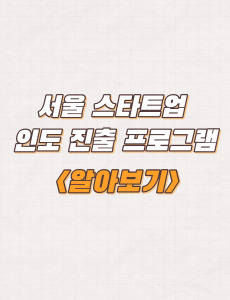  서울 스타트업 인도 진출 프로그램 지원내용 및 자격