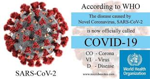 코로나 바이러스 3 이미지