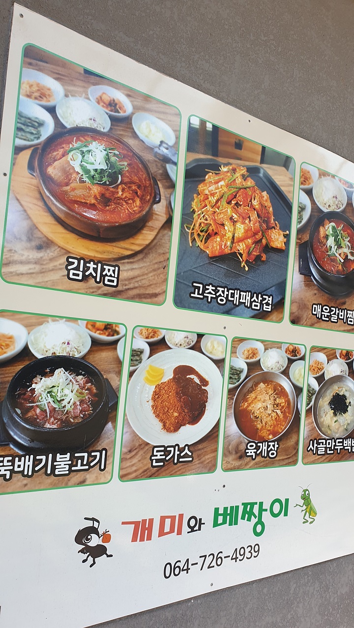 개미와베짱이 사진 5