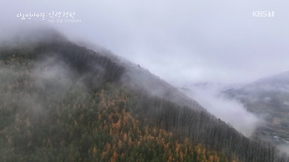 다큐 인사이트.E153.230608p.H264-F1RST.mp4_20230612_204536.585.jpg