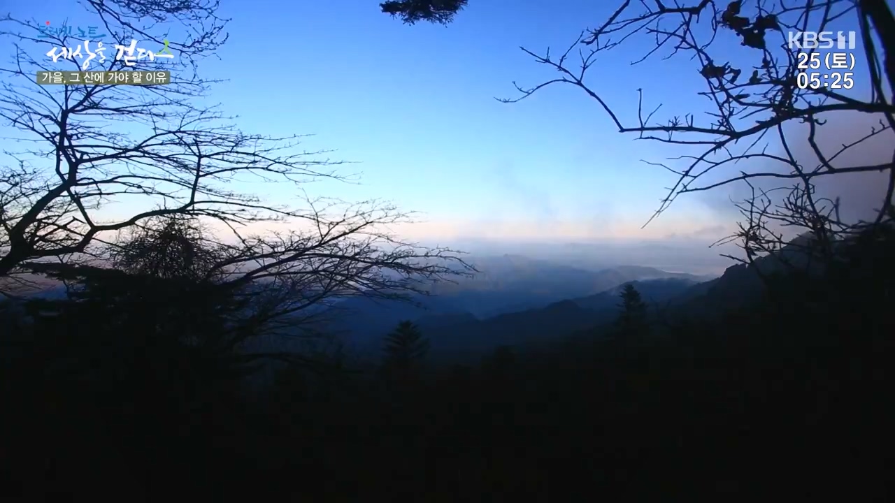 트레킹노트 세상을 걷다.E298.231126p-NEXT.mp4_20231205_210937.295.jpg