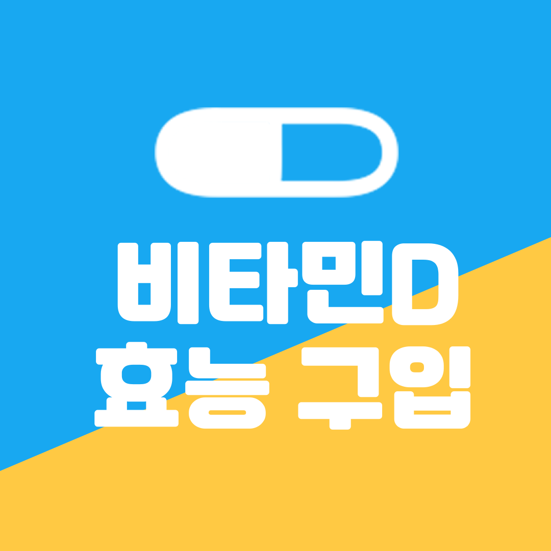 비타민D 효능