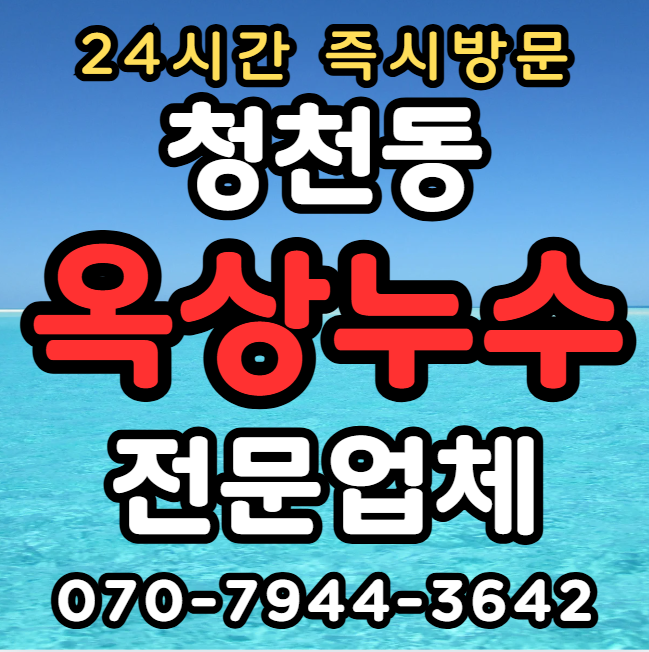 청천동 옥상 누수1