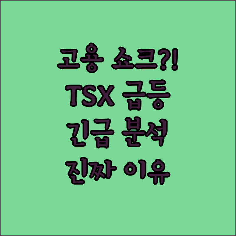 고용 쇼크가 TSX를 살렸다?!📈📈📈