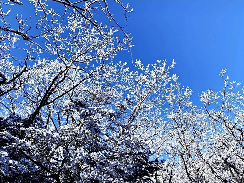 제주 한라산 설경 눈꽃