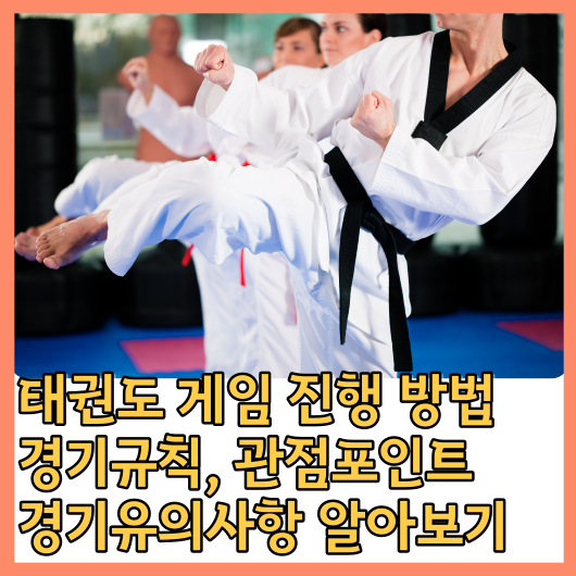 태권도 (Taekwondo) 게임 진행 방법&#44; 경기규칙&#44; 관점포인트&#44; 경기유의사항 알아보기