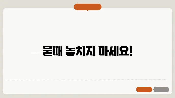 제부도 물때 시간표 최신정보