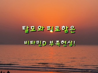  비타민D 결핍, 근육통·탈모·피로감 초래! 꾸준한 섭취 필요