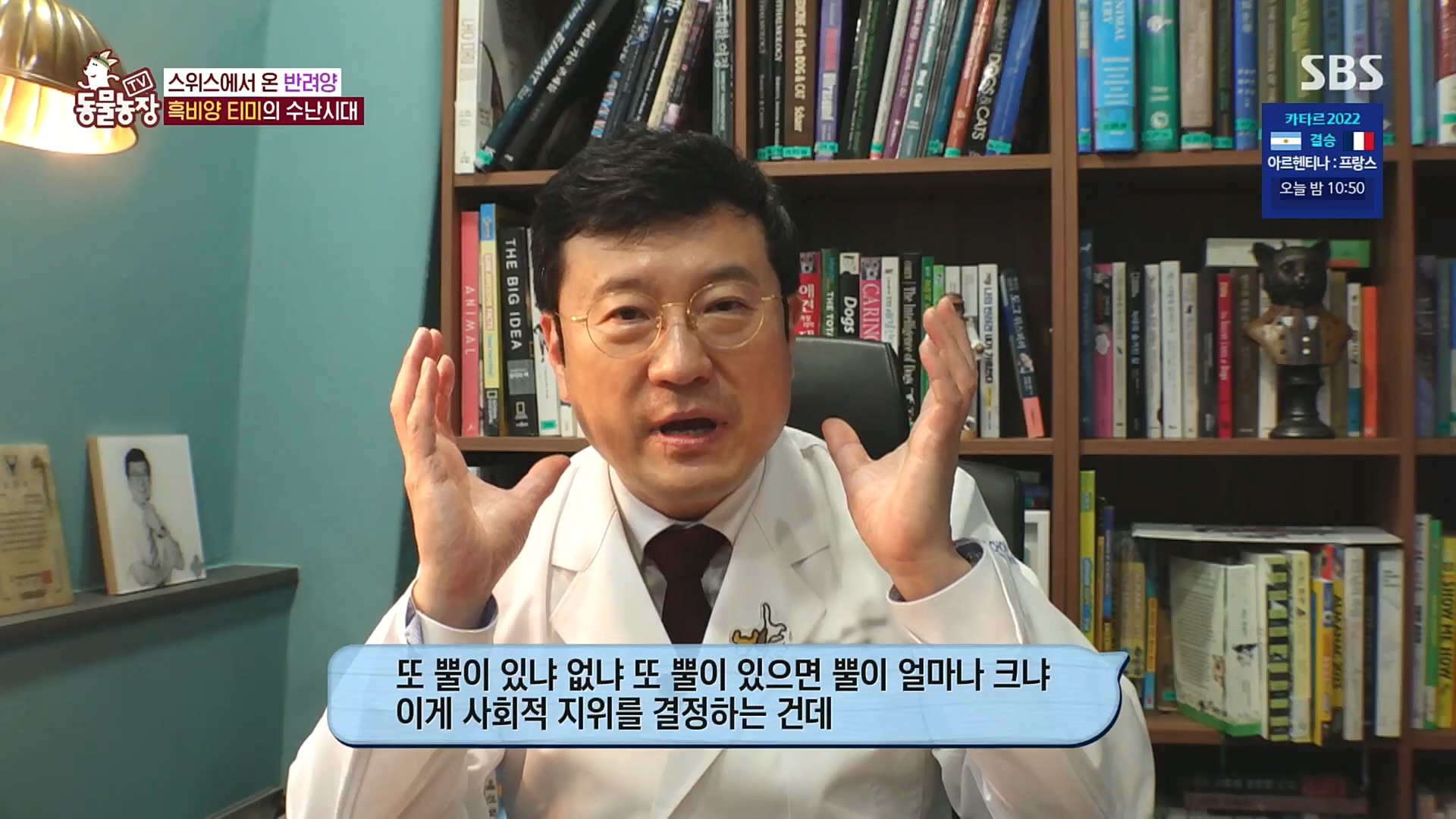 TV 동물농장.E1100.221218p.H264-F1RST.mp4_20221218_183448.367.jpg