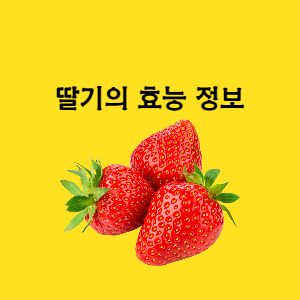  딸기 효능 보관 방법