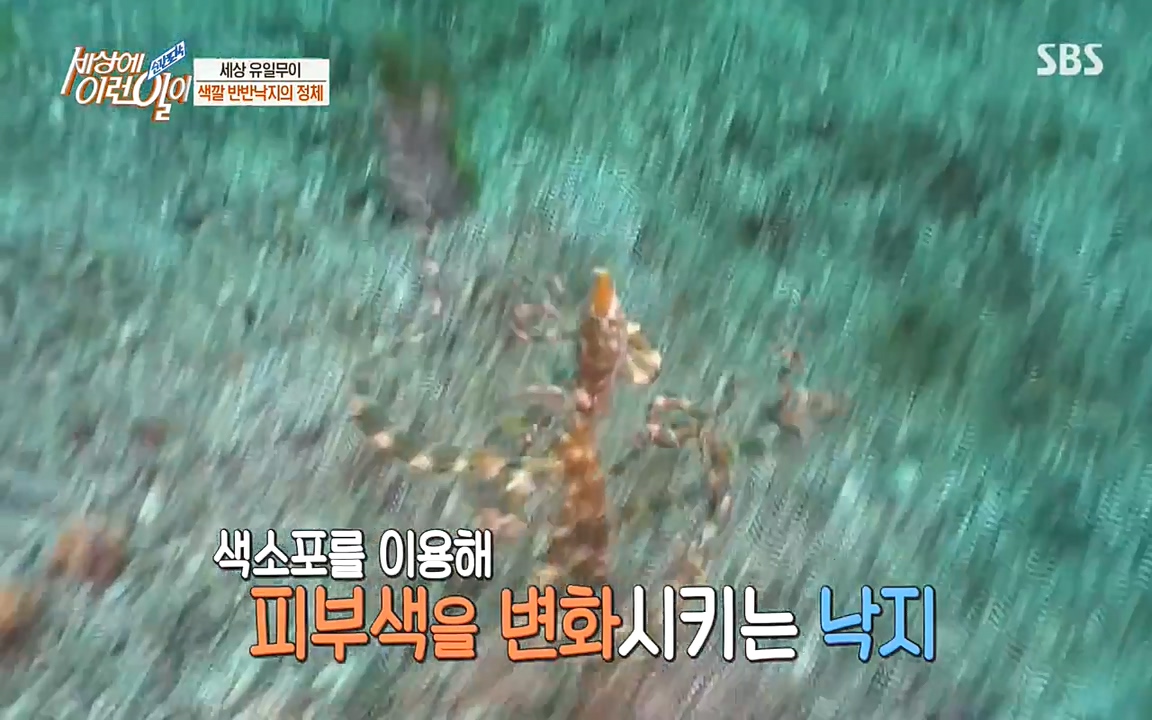 순간포착 세상에 이런일이.E1178.220504p-NEXT.mp4_20220504_173115.865.jpg