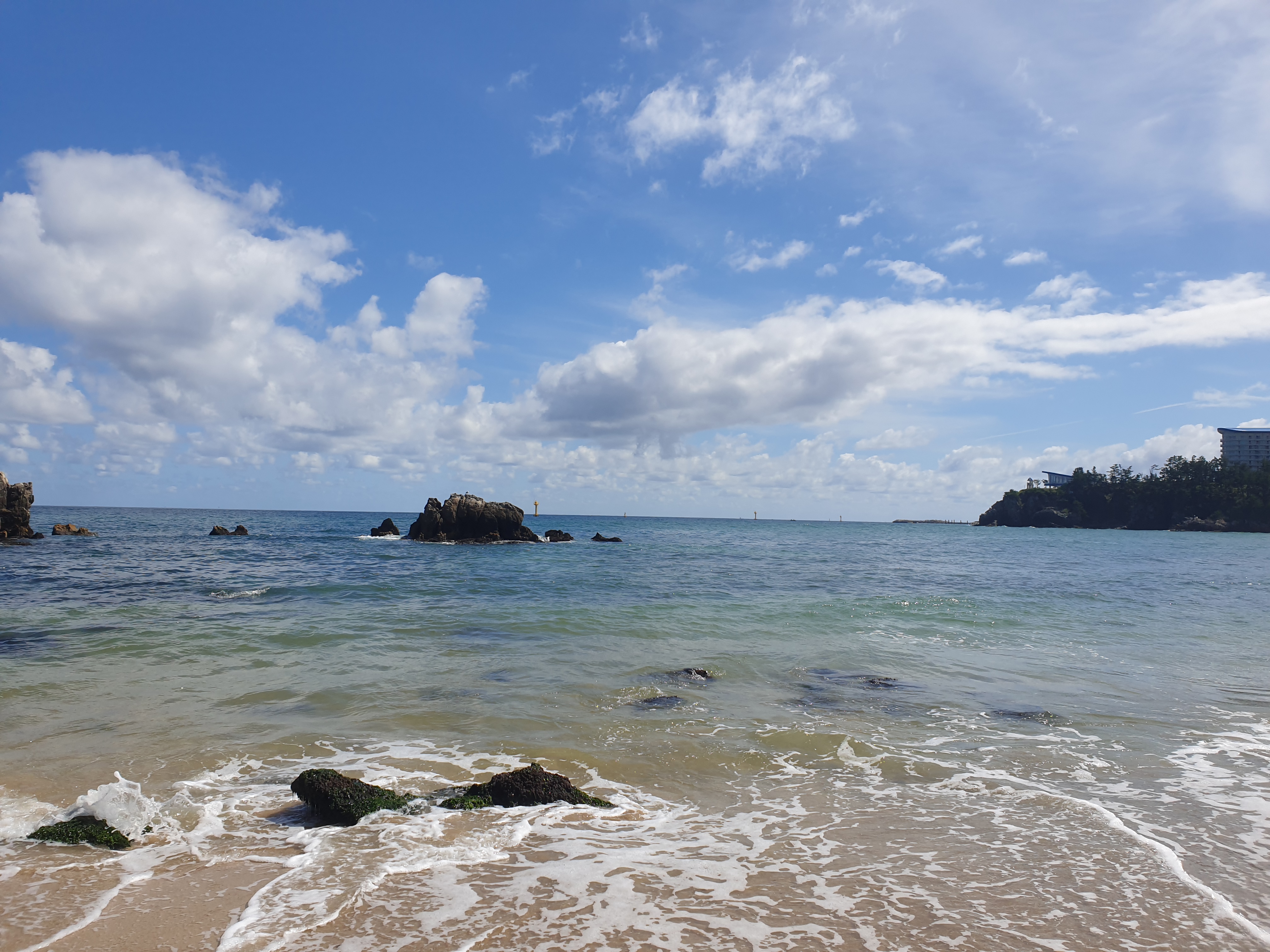 동해 추암촛대바위와 출렁다리 / 동해 여행 추천