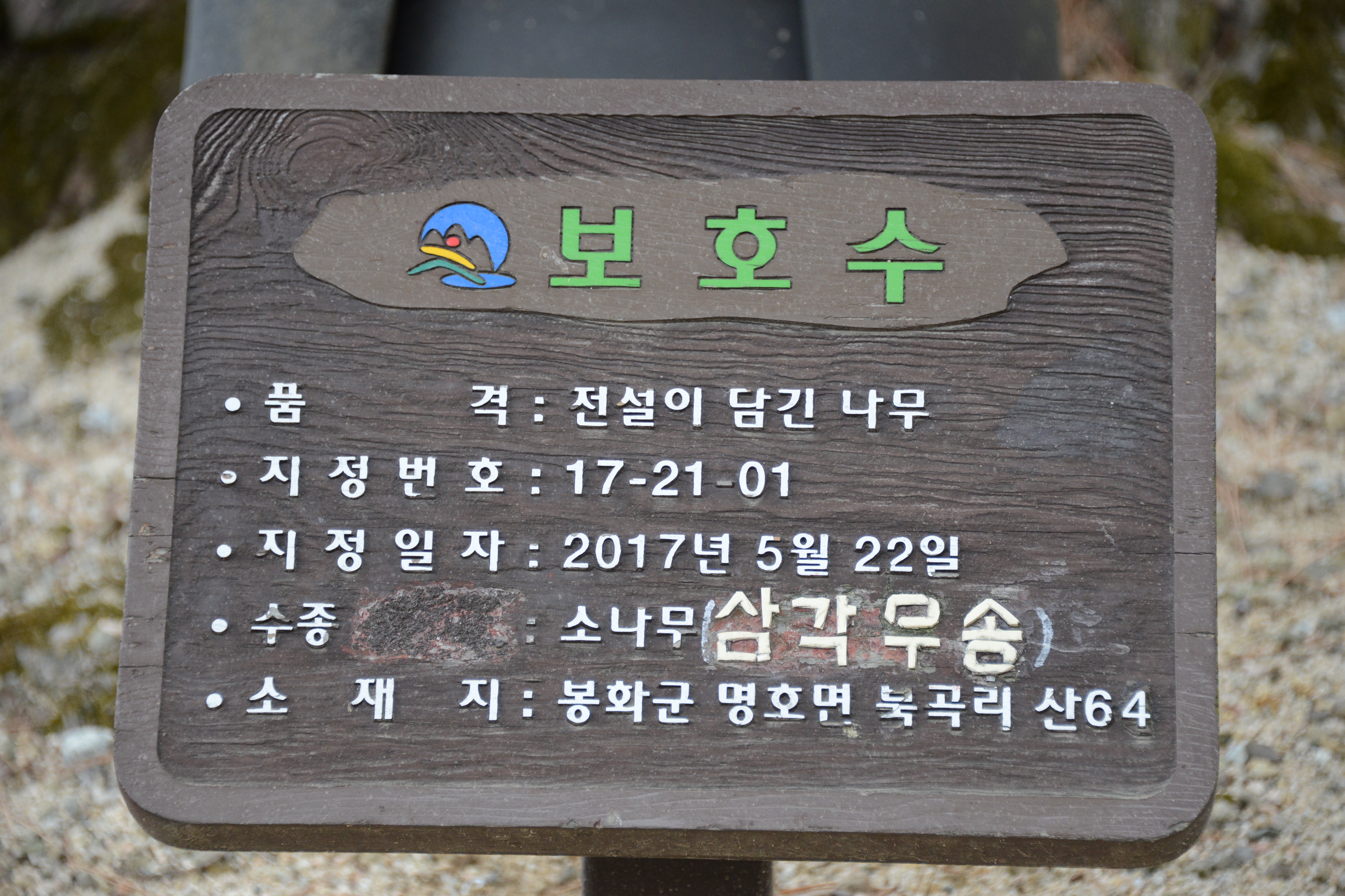 청량산 청량사 30