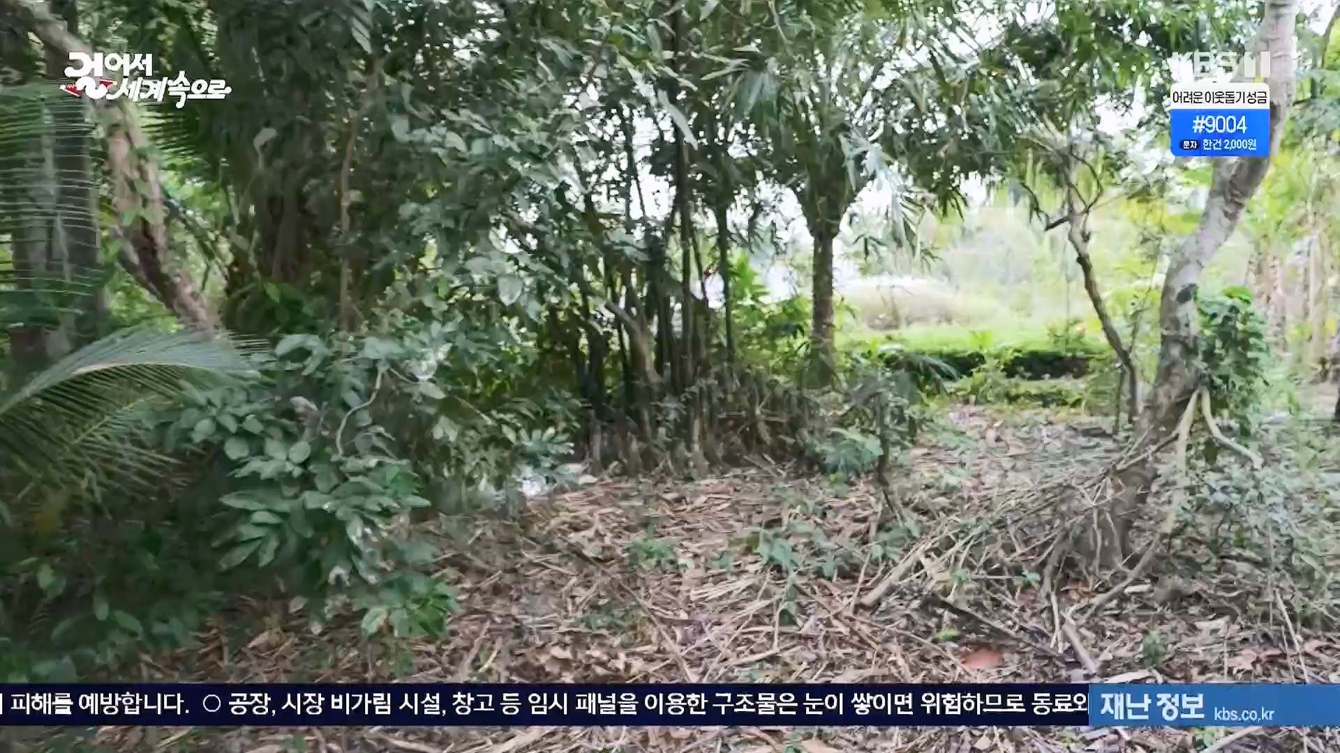 걸어서 세계속으로.E826.240120p.H264-F1RST.mp4_20240716_202844.802.jpg