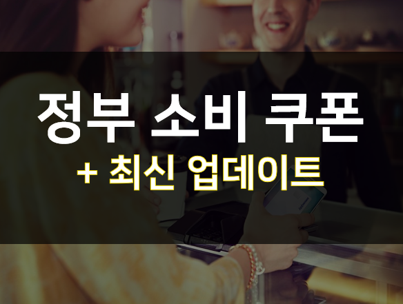  정부 소비 쿠폰 11월 신청 및 사용방법 정리